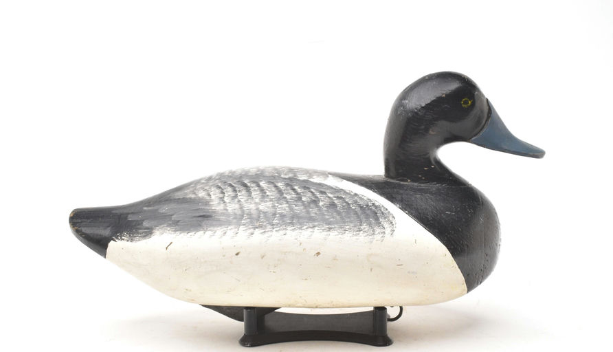 Bob Sellers – Scaup – 2026