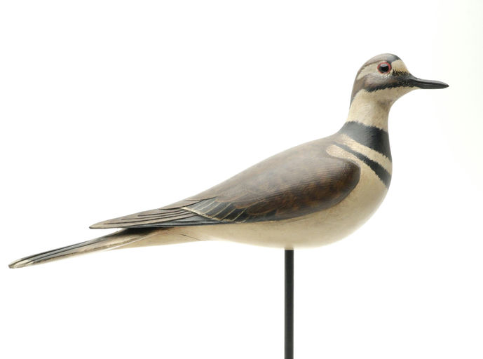 Bill Gibian – Killdeer – 2025