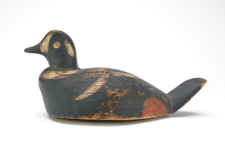 George May — Harlequin Duck