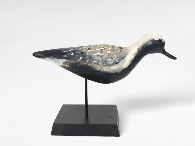 Pete Peterson – Running Black Bellied Plover – 2024