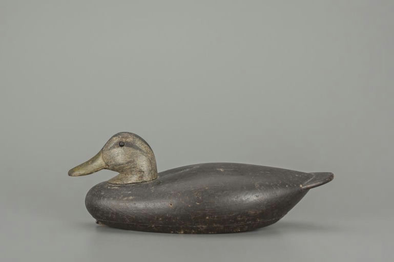 Benjamin Holmes – Black Duck – 2018