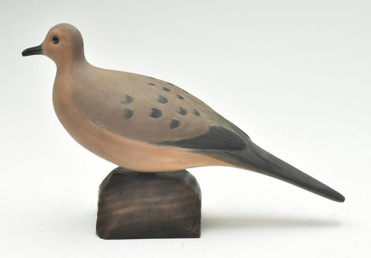 Cigar Daisey – Dove – 2023