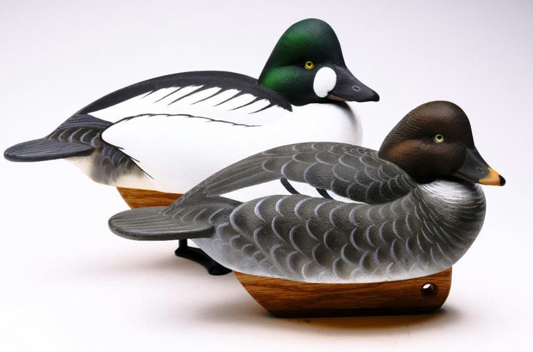 Tom Matus – Pair of Goldeneye – 2023