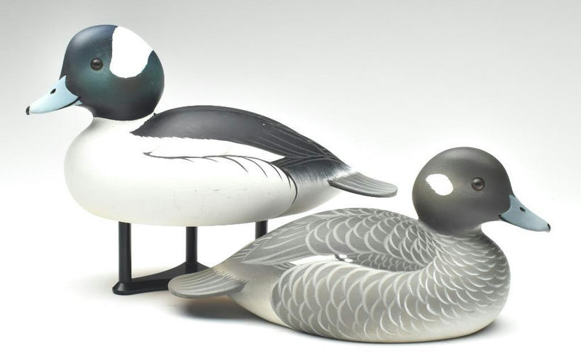 Oliver Lawson – Pair of Bufflehead – 2023