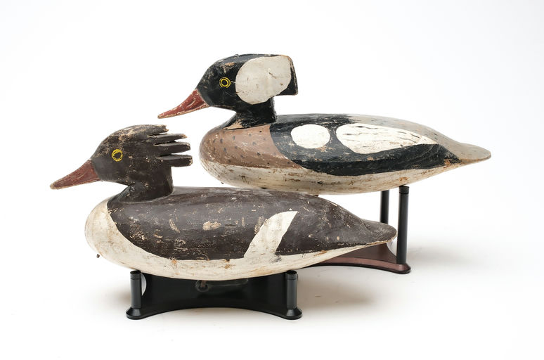 Doug Jester – Hooded Merganser – 2026