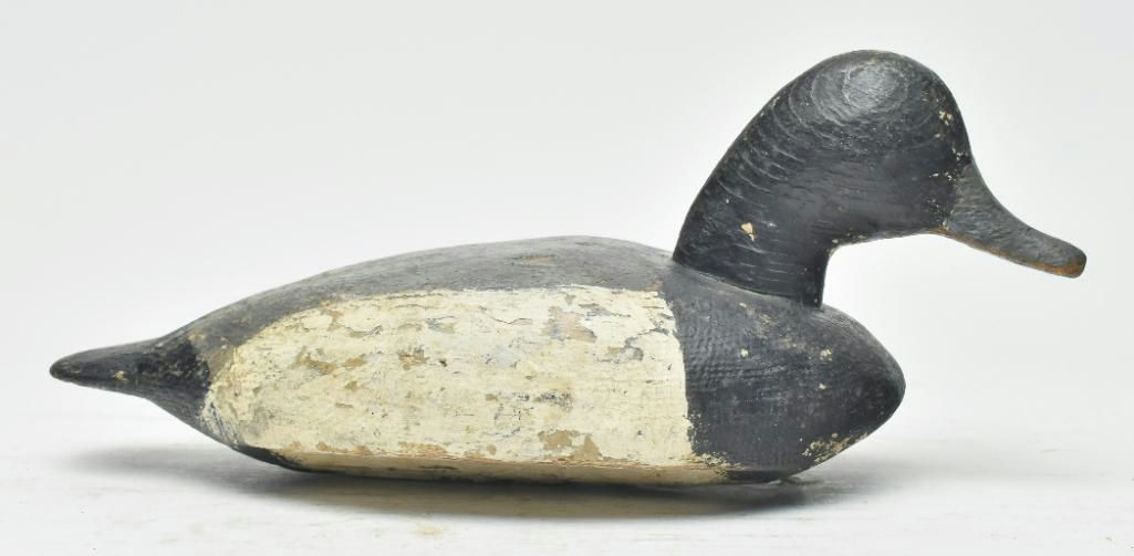 Duncan Ducharme – Scaup – 2023