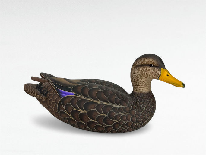 Mark Strucko — Black Duck