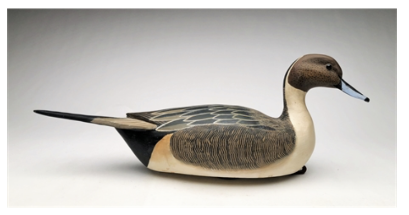 Grayson Chesser – Pintail Drake – 2021