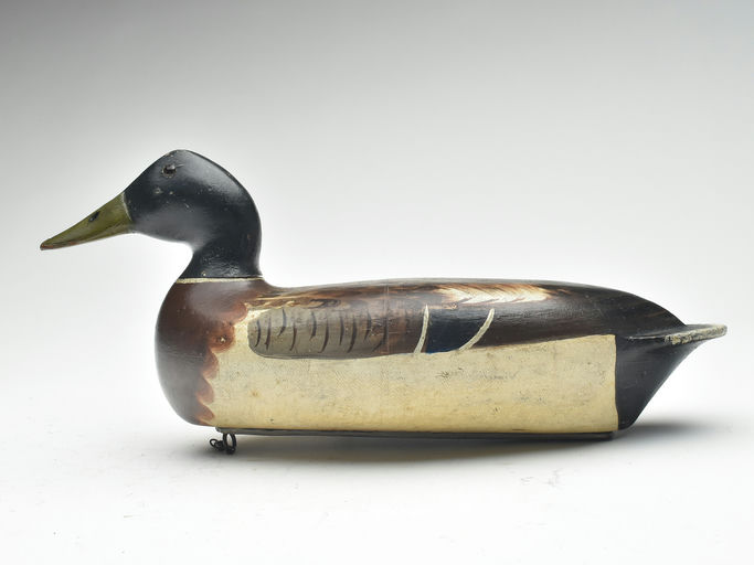 Bert Graves – Mallard – 2023