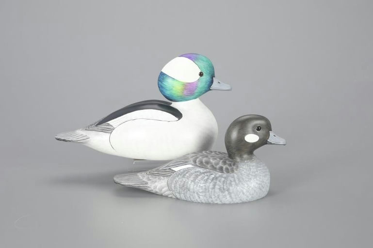 Bob Kerr – Bufflehead Pair – 2023