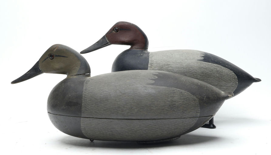 Jess Heisler – Canvasback – 2026