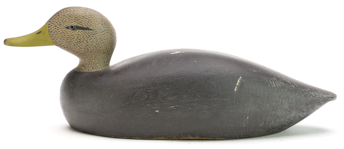 Keyes Chadwick – Black Duck – 2025