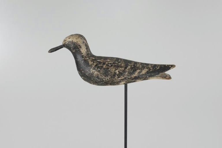 Mayo Family – Plover – 2026