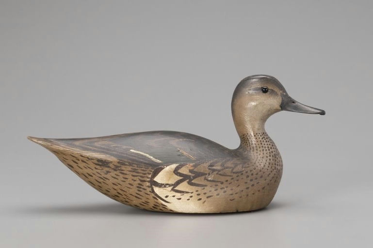 Ward Brothers – Green-Winged Teal Hen – 2018