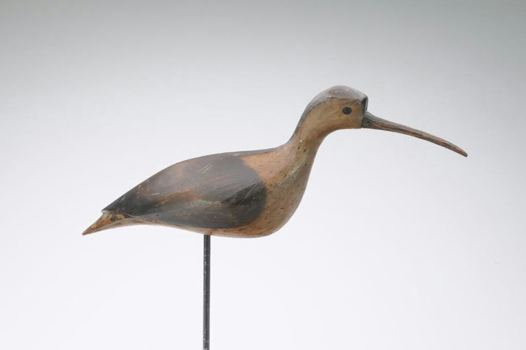 Pete Peterson – Curlew – 2024