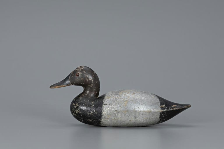 Salmon Rig – Early Canvasback Drake – 2019