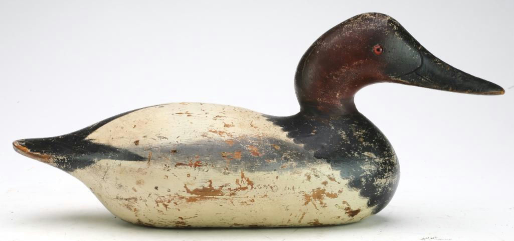 Mason Decoy Factory – Canvasback – 2024