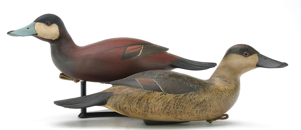 Bob White – Pair of Ruddy Duck – 2024