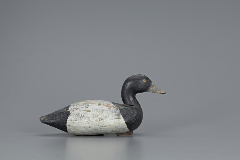 Edward T. Parsons – Bluebill Drake – 2019