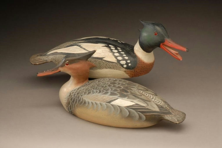Ward Brothers – Pair of Red-Breasted Mergansers – 2008