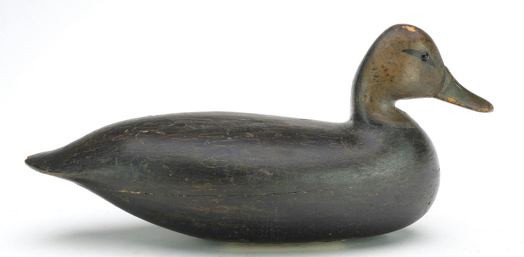 Harry V. Shourds – Black Duck – 2024