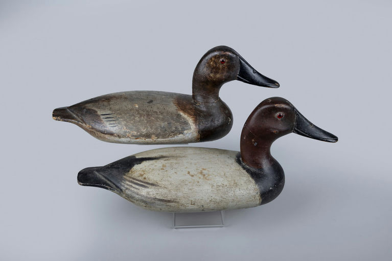 Glenn Cameron – Canvasback Pair – 2026
