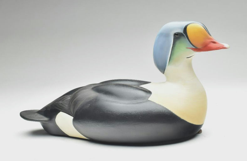 Sean Sutton – King Eider – 2023