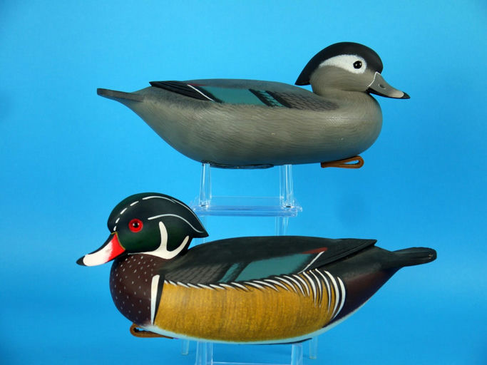 Rick Brown – Wood Duck Pair, – 2026