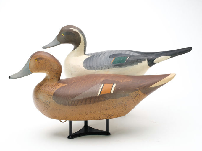 R. Madison Mitchell – Pair of Pintail – 2025