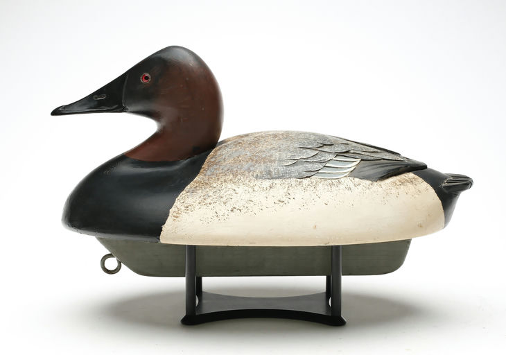 Ferdinand Bach – Canvasback – 2026