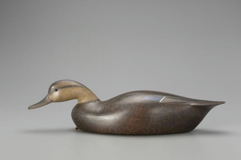 Ian McNair – Swimming Black Duck – 2018