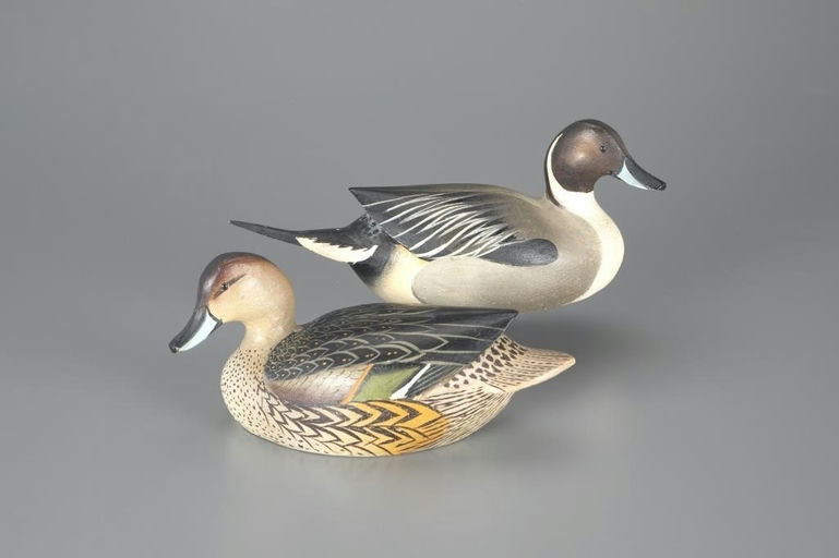 Ward Brothers – Miniature Pintail Pair – 2024