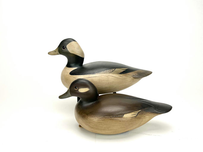 Sean Sutton – Bufflehead Pair – 2024