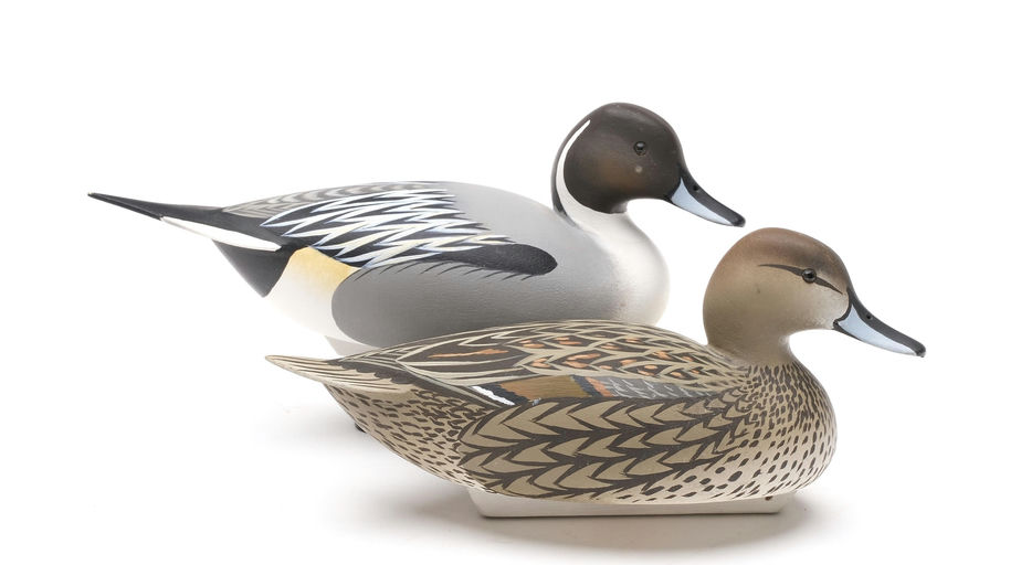 Oliver Lawson – Pair of Pintail – 2026