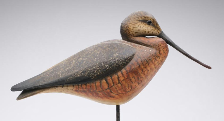 Bill Gibian – Godwit – 2024