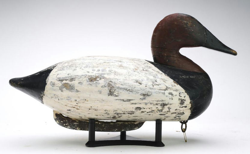 John Daddy Holly – Canvasback – 2024