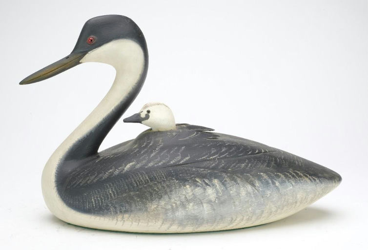 Frank Finney – Large grebe and chick – 2023