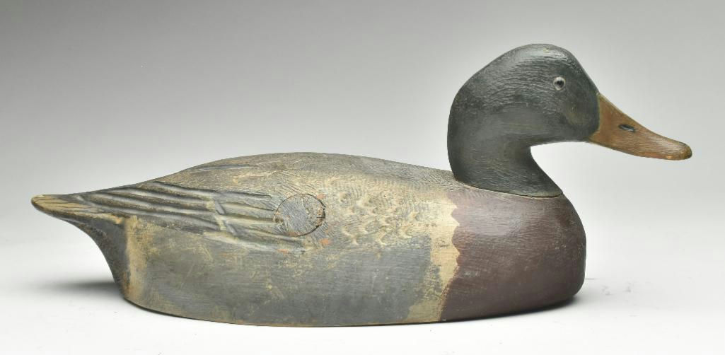 Ben Schmidt – Mallard – 2023