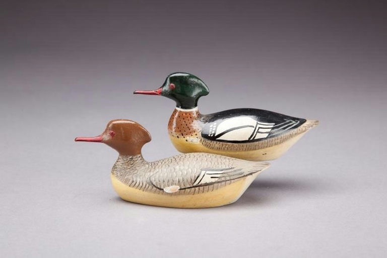 George Boyd – Miniature Merganser Pair – 2013