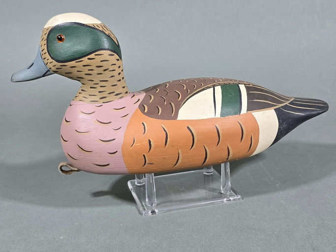 Pete Wilbur – Wigeon – 2026