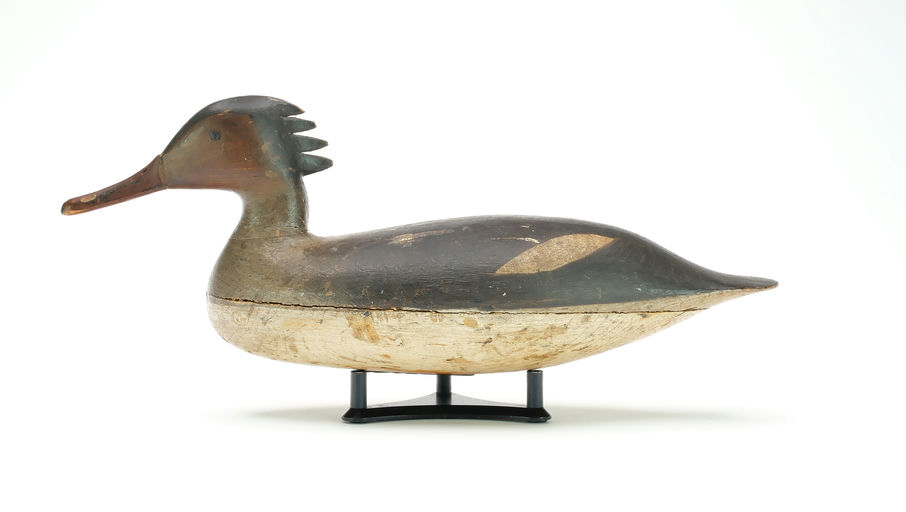 Harry V. Shourds – Merganser – 2025