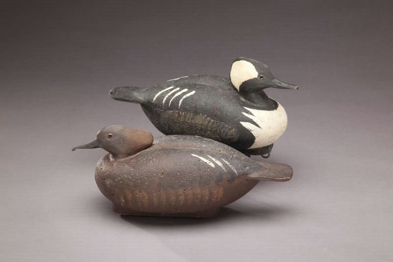 Harry Pember – Hooded Merganser Pair – 2011