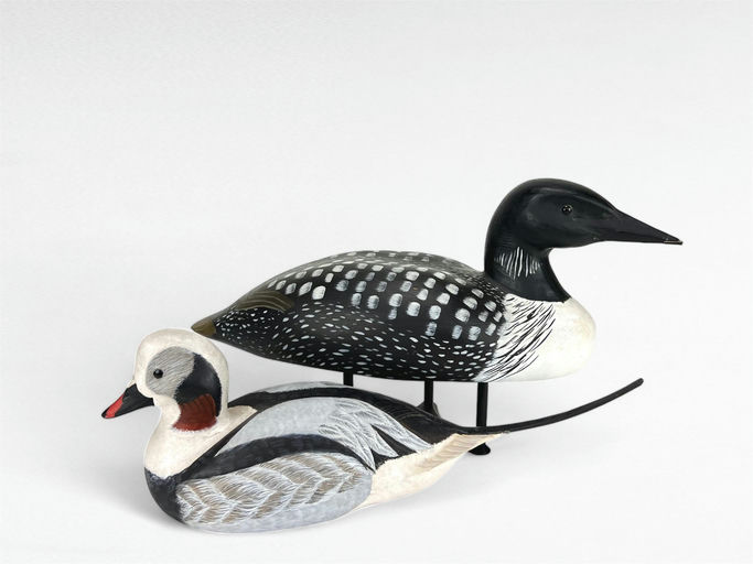 Mike Smyser — Loon & Longtail