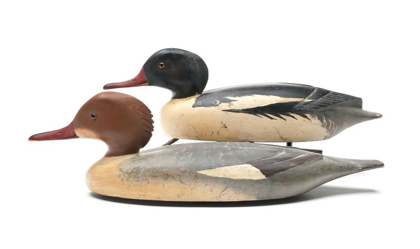 David W. Nichol – Merganser – 2025