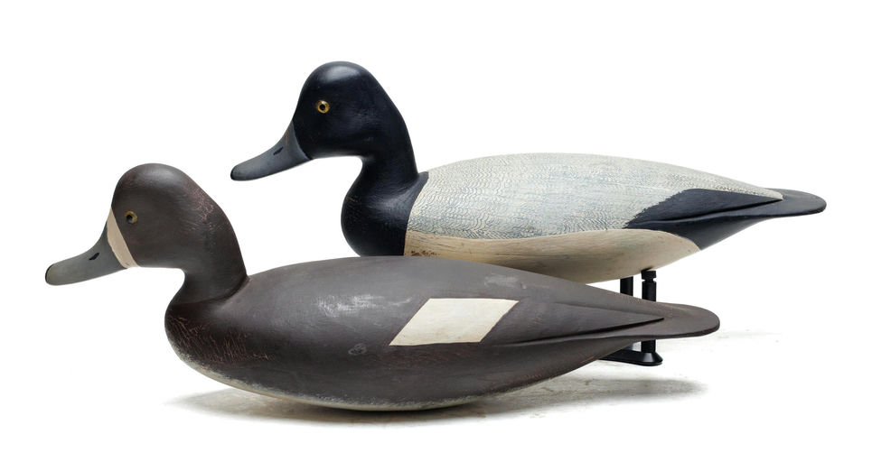 Hurley Conklin – Scaup – 2026