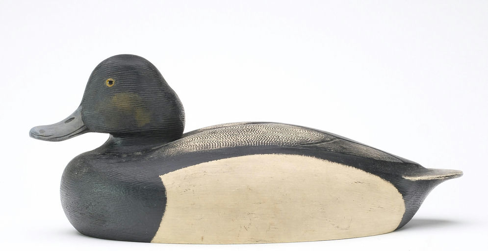 Ken Anger – Scaup – 2024
