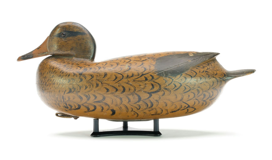 William Quinn – Mallard – 2025