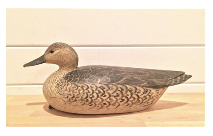 Grayson Chesser – Pintail Hen – 2016