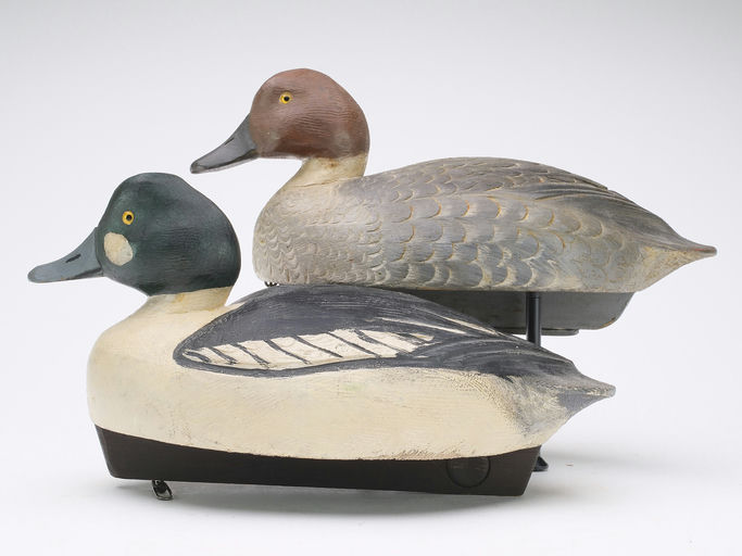 Ben Schmidt – Pair of Goldeneye – 2024