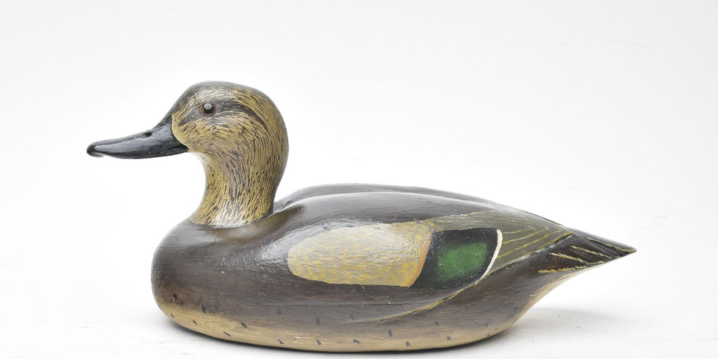 Bob White – Green-winged Teal – 2025
